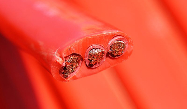 升降机专用电缆